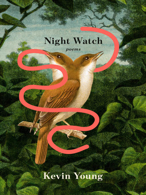 Cover image for Night Watch